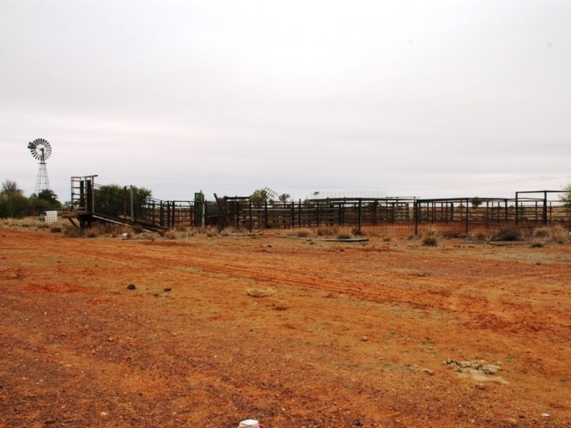 Braidwood Jundah, Longreach QLD 4730