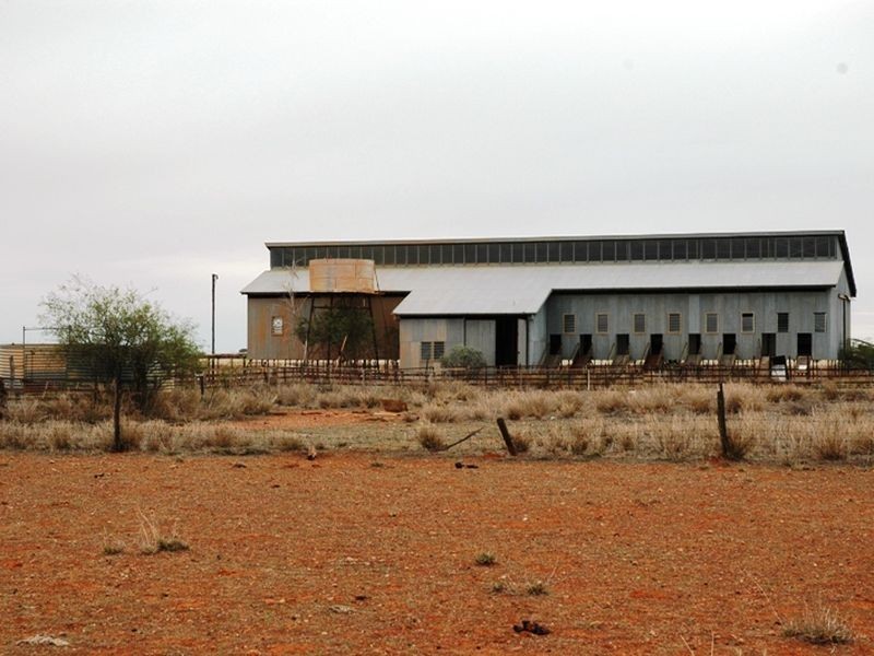 Braidwood Jundah, Longreach QLD 4730