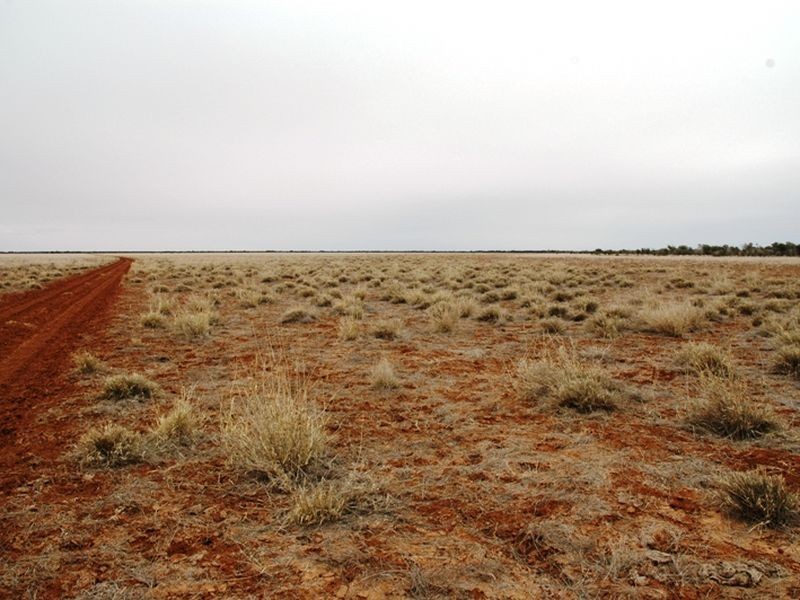 Braidwood Jundah, Longreach QLD 4730