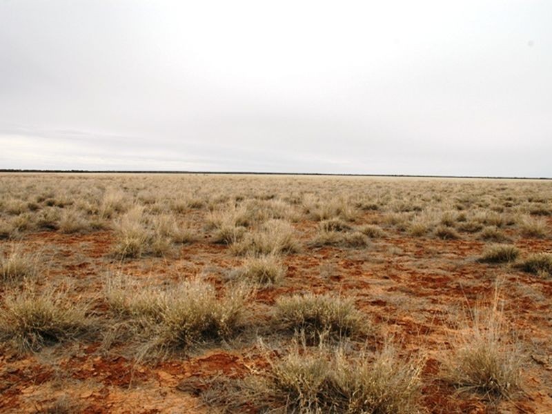 Braidwood Jundah, Longreach QLD 4730