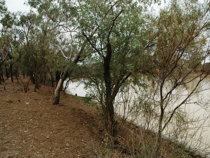 Braidwood Jundah, Longreach QLD 4730