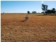 90 Gull street, Longreach QLD 4730