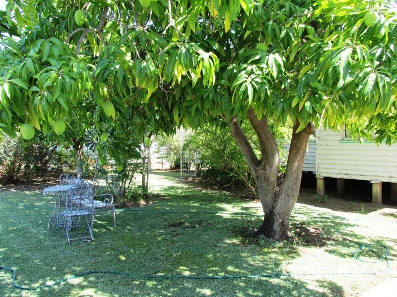 10 Heron street, Longreach QLD 4730