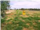Lot 6 & lo 33 Leopardwood / Plumb road, Barcaldine QLD 4725