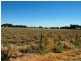 Lot 2&3 / Bauhinia street, Barcaldine QLD 4725
