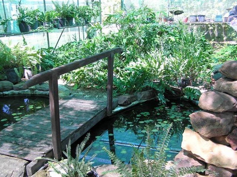 37 Nisbet street, Winton QLD 4735