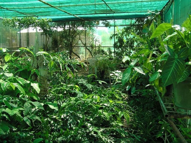 37 Nisbet street, Winton QLD 4735