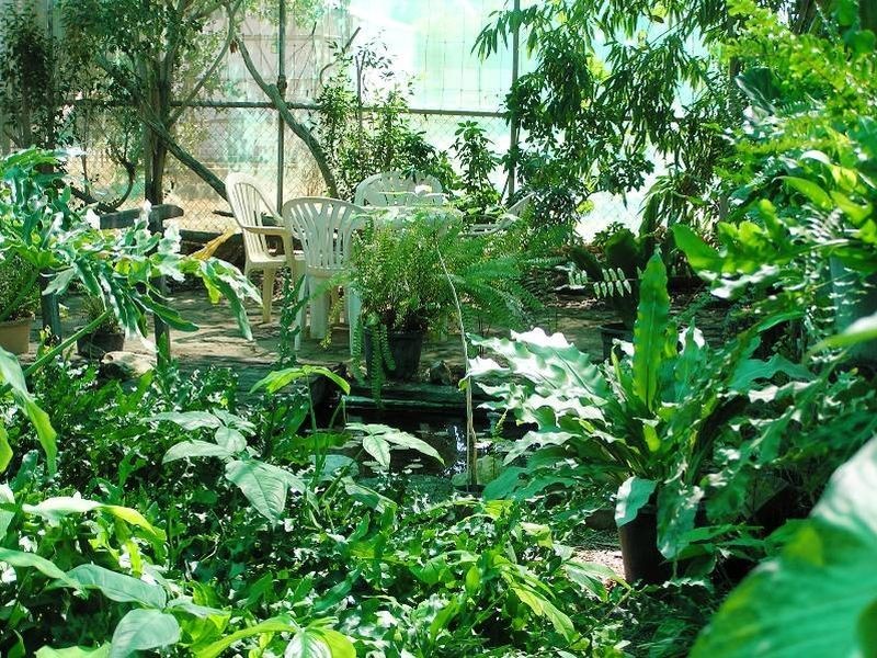 37 Nisbet street, Winton QLD 4735