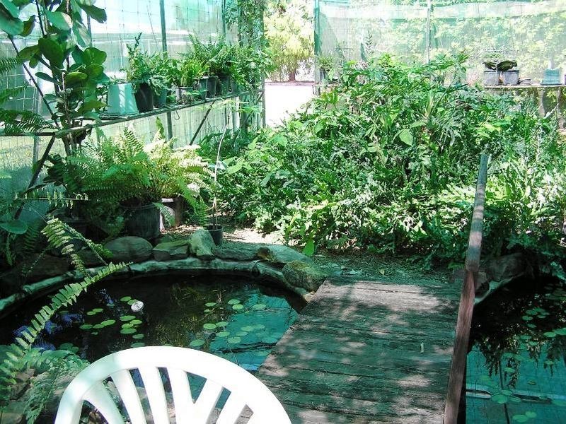 37 Nisbet street, Winton QLD 4735