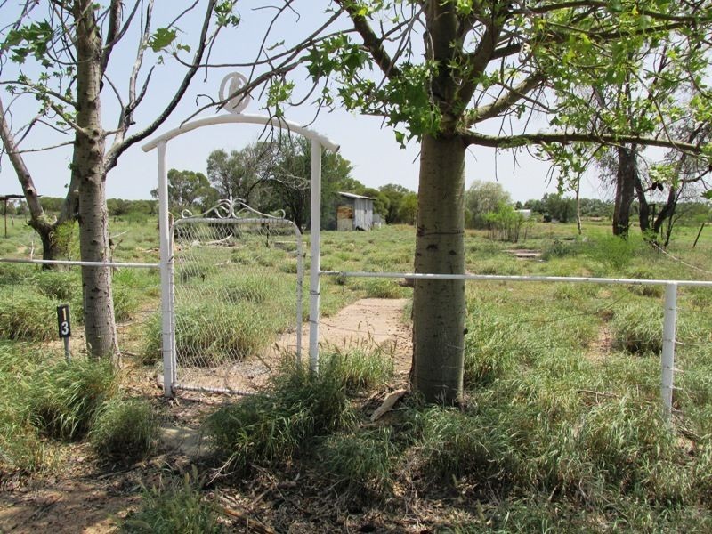 13 Saint Ann street, Isisford QLD 4731