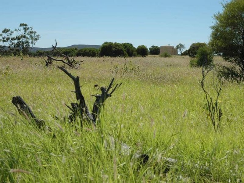 MT RYDE Morella to Silso road, Longreach QLD 4730
