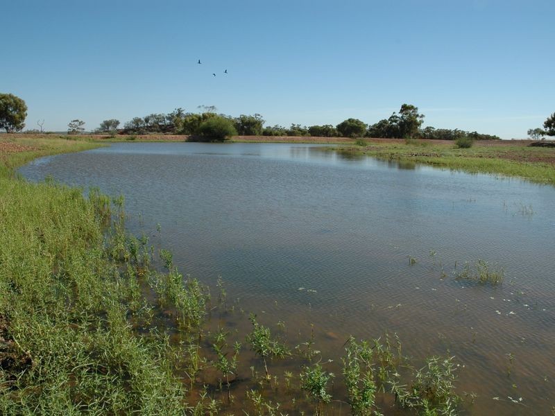 MT RYDE Morella to Silso road, Longreach QLD 4730