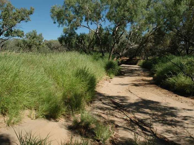 MT RYDE Morella to Silso road, Longreach QLD 4730