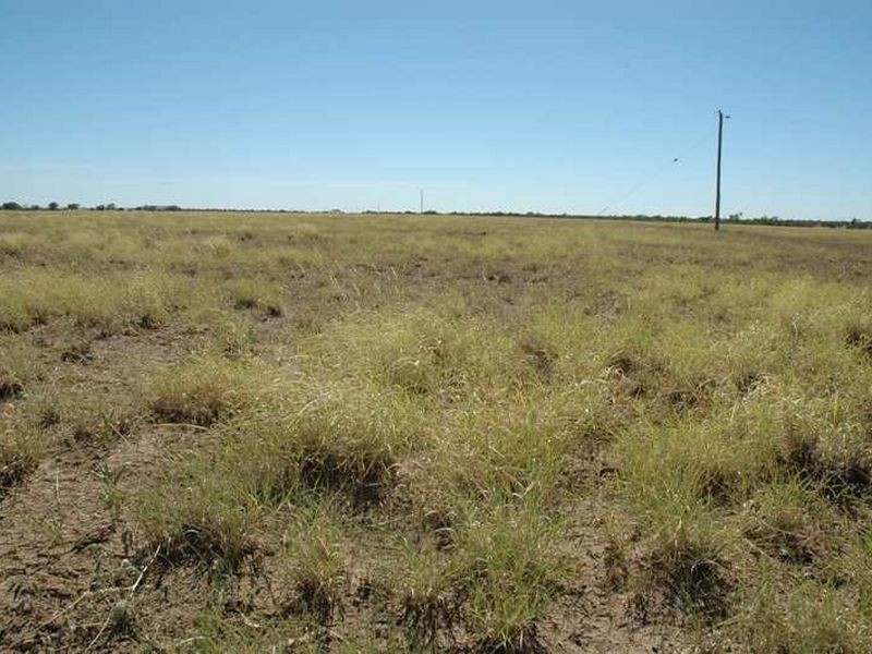 MT RYDE Morella to Silso road, Longreach QLD 4730