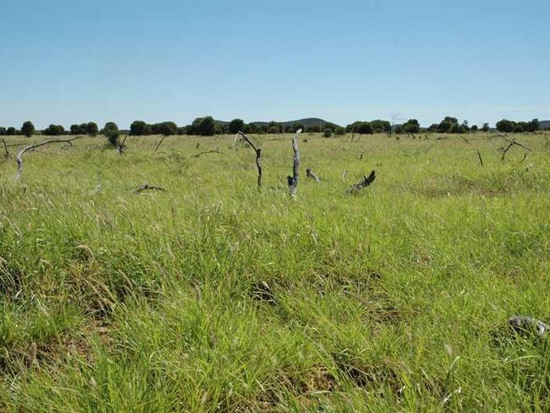 MT RYDE Morella to Silso road, Longreach QLD 4730