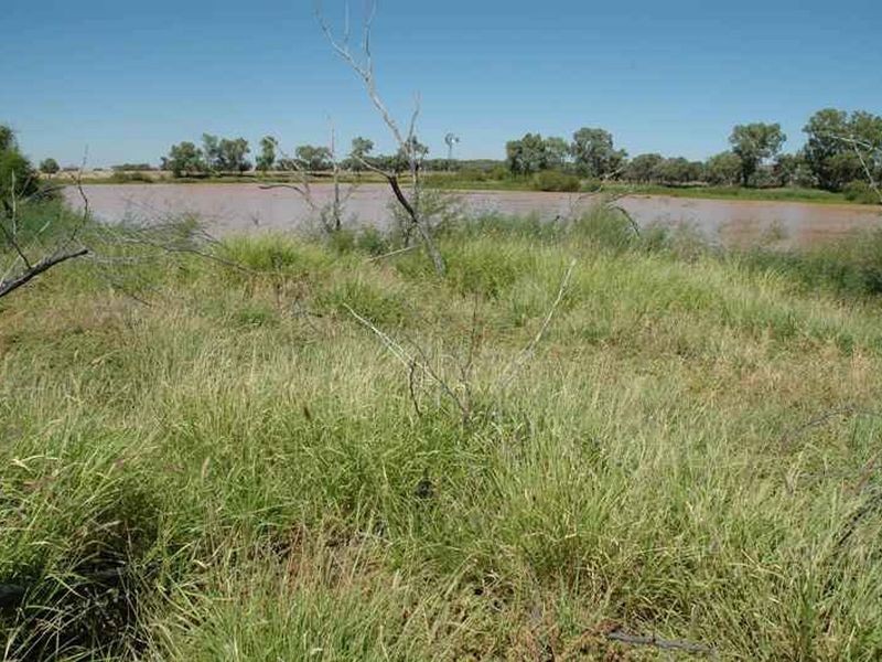 MT RYDE Morella to Silso road, Longreach QLD 4730