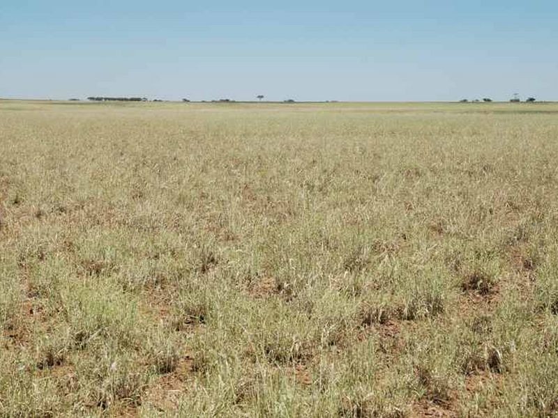 MT RYDE Morella to Silso road, Longreach QLD 4730