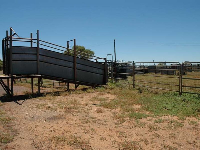 MT RYDE Morella to Silso road, Longreach QLD 4730