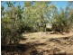 14 Stilt street, Longreach QLD 4730