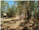 14 Stilt street, Longreach QLD 4730