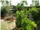 175 Kingfisher street, Longreach QLD 4730