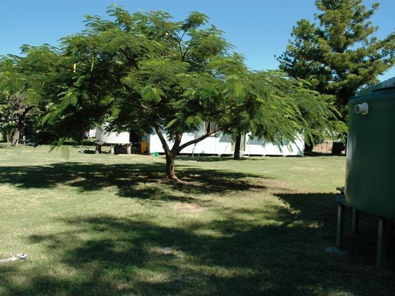 11 Elm street, Barcaldine QLD 4725