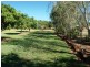 131 Bauhinia street, Barcaldine QLD 4725