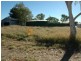 36 Swan street, Longreach QLD 4730