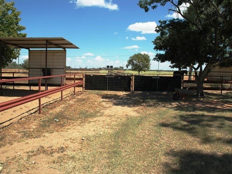 0 Golf Links Road Cramsie, Longreach QLD 4730