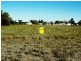 L1-L2 ILFRACOMBE ROAD, Longreach QLD 4730