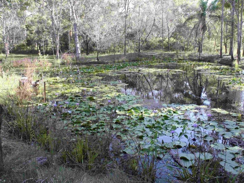 Logan Village QLD 4207