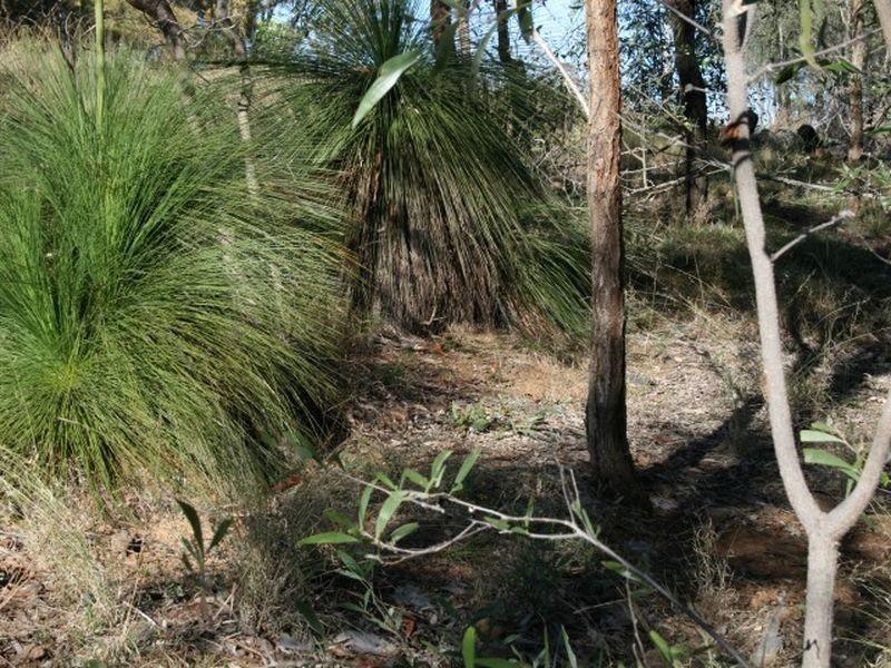 Kooralbyn QLD 4285