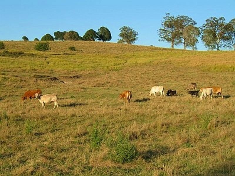 Palen Creek QLD 4287