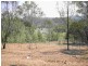 Kooralbyn QLD 4285