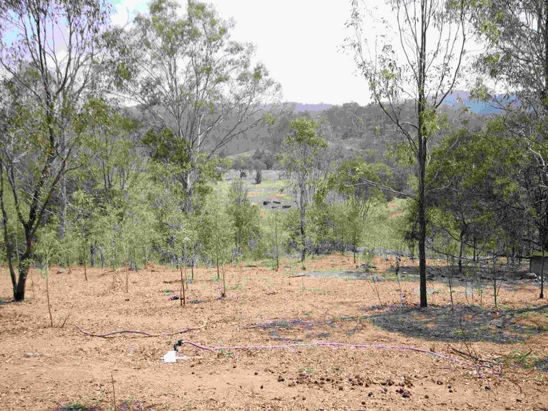 Kooralbyn QLD 4285