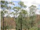 Kooralbyn QLD 4285