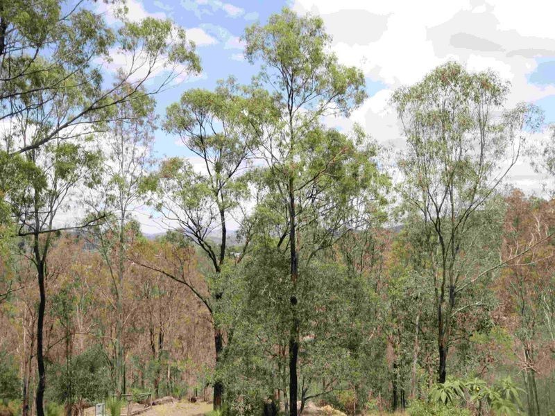 Kooralbyn QLD 4285