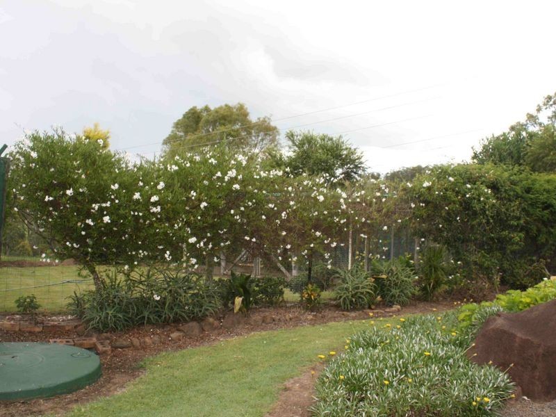 Kooralbyn QLD 4285