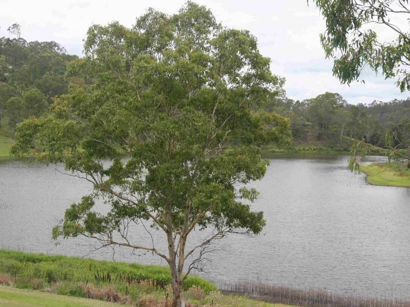 Kooralbyn QLD 4285