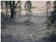 Kooralbyn QLD 4285