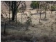 Kooralbyn QLD 4285