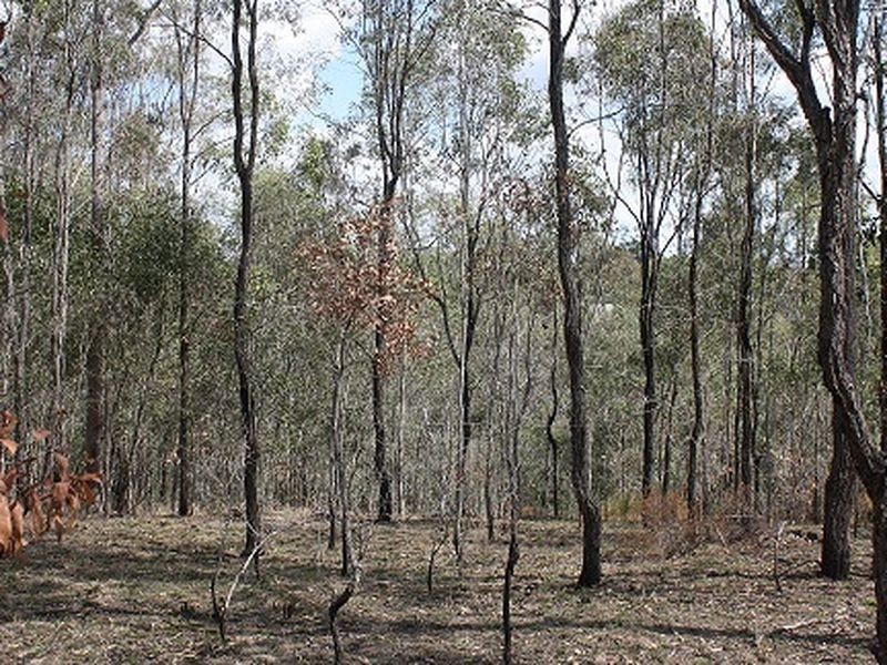Kooralbyn QLD 4285