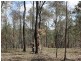 Kooralbyn QLD 4285