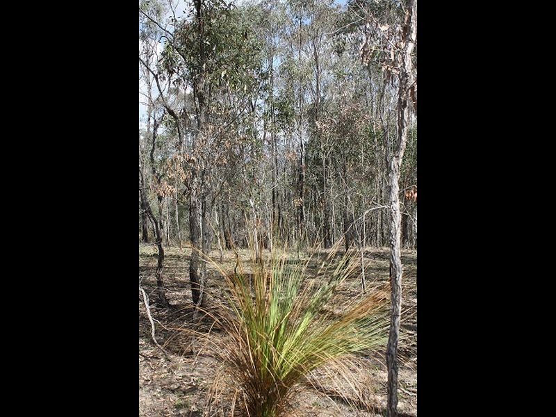 Kooralbyn QLD 4285
