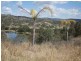 Kooralbyn QLD 4285