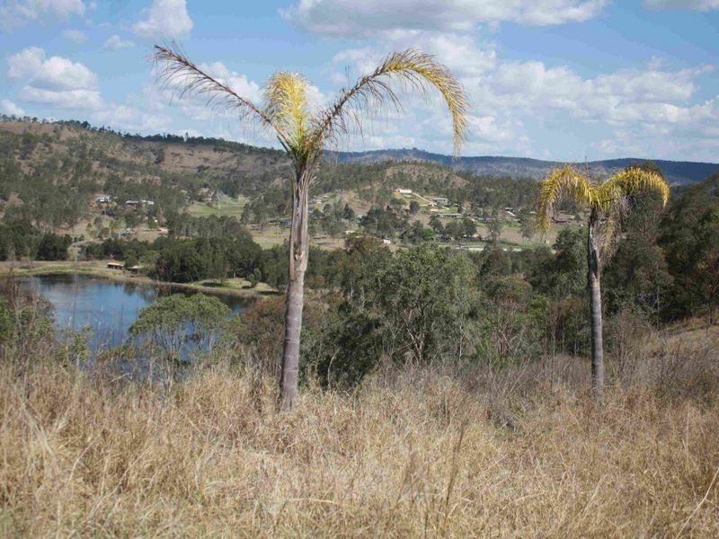 Kooralbyn QLD 4285