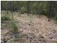 Kooralbyn QLD 4285