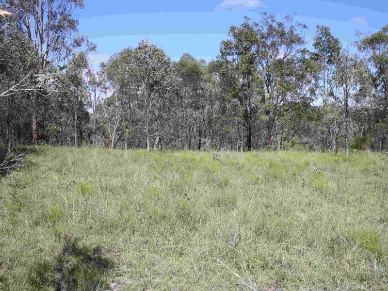 Kooralbyn QLD 4285