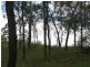 Kooralbyn QLD 4285