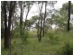 Kooralbyn QLD 4285